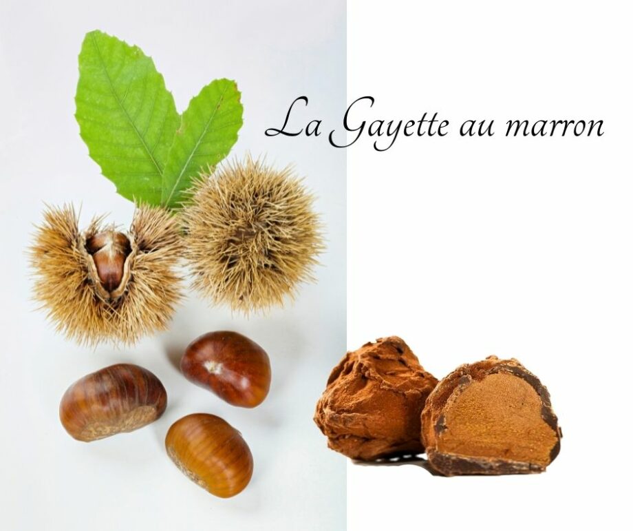 GAYETTE AU MARRON